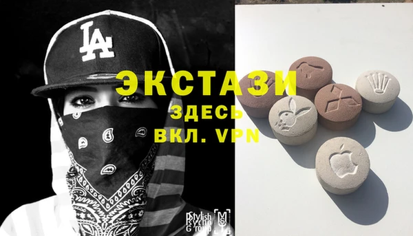 прущие грибы Белокуриха