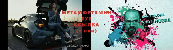 прущие грибы Белокуриха