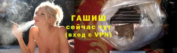 прущие грибы Белокуриха