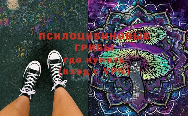 прущие грибы Белокуриха