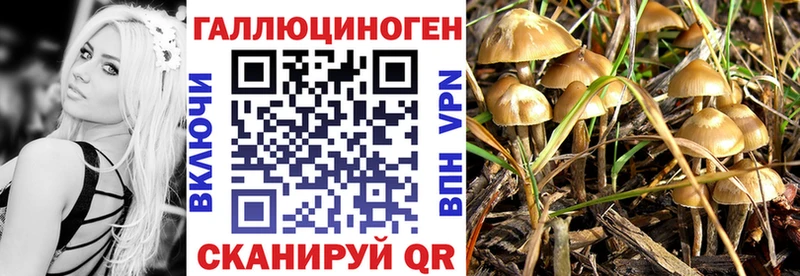 blacksprut сайт Хвалынск Псилоцибиновые грибы ЛСД продажа наркотиков